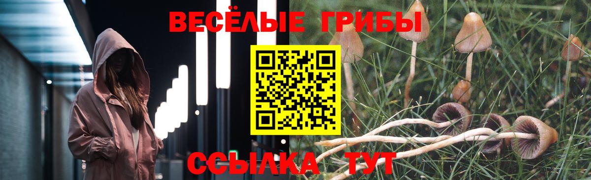 Галлюциногенные грибы Cubensis  наркотики  Кинель  Вход с VPN  Галлюциногенные грибы ЛСД 